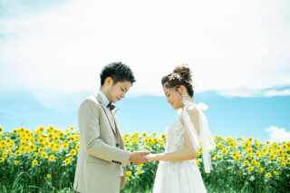 ひまわり畑とゆれるリボン