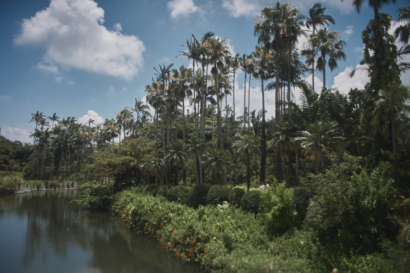 異国情緒あふれる植物園と、お揃いスニーカーで歩くプライベートビーチ