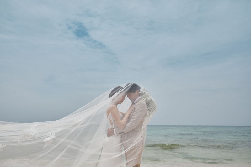 柔らかな海風に