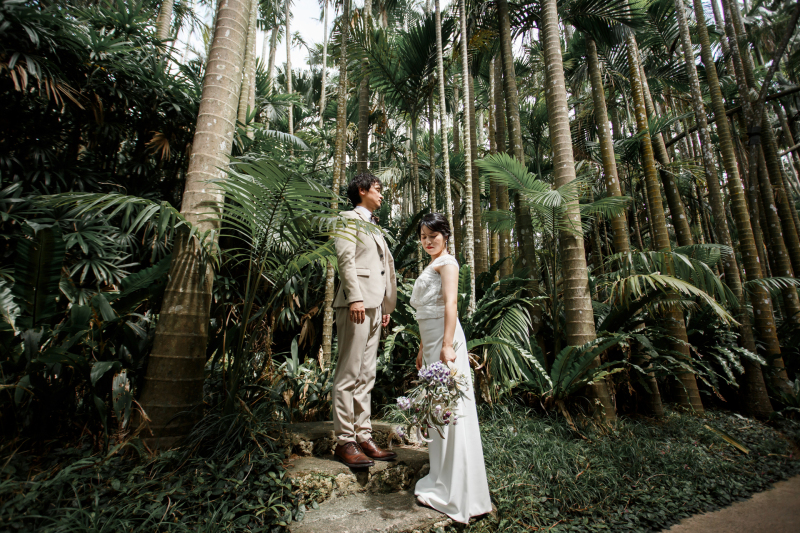 緑の森のセレナーデ