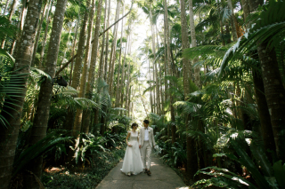 まるで南国の森の中