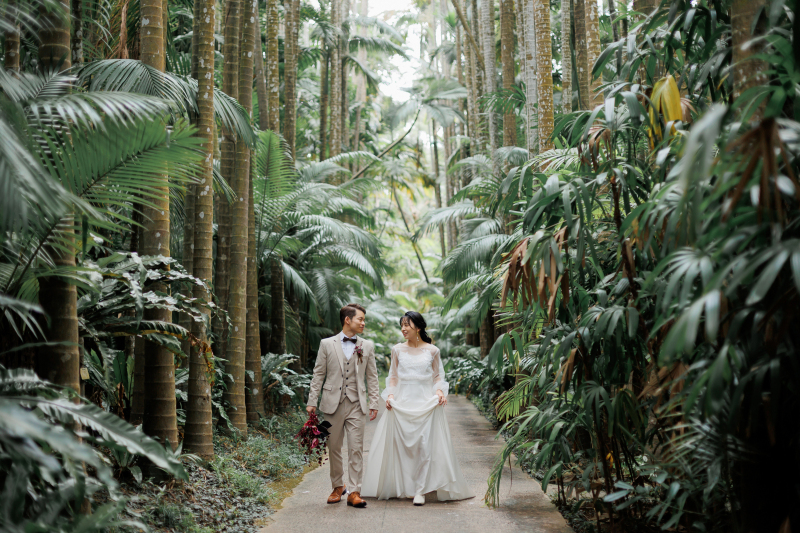 幻想的な森のなかで