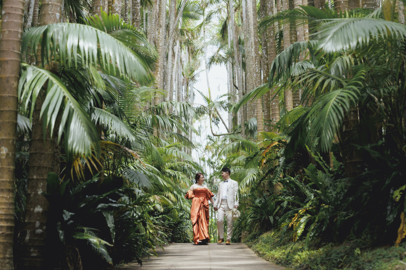 南国の雰囲気を歩く