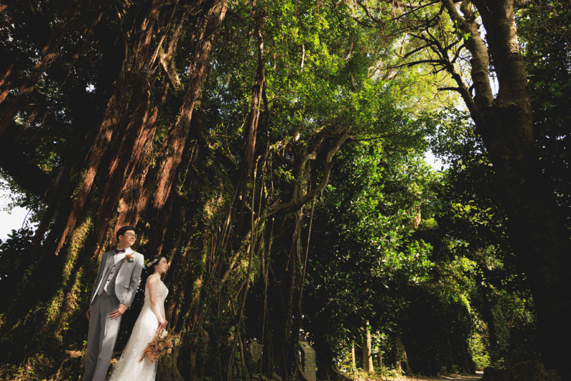 生命力あふれる大樹の下で