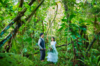 追加撮影スポット:ビオスの丘