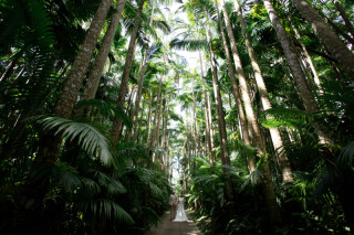 追加撮影スポット:東南植物楽園