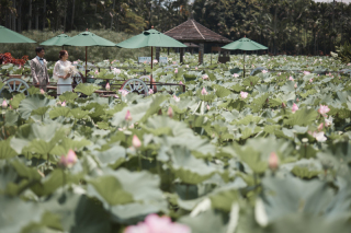 Navy Wedding_ビオスの丘・東南植物楽園