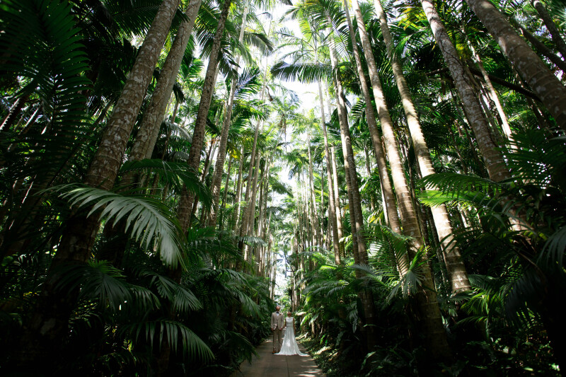 【ムービー&東南植物楽園ロケ】ドレス・タキシード1点｜データ150カット｜ビーチ撮影付き