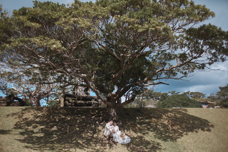 【ベーシックプラン+ビオスの丘】フォトのみ|ビーチ撮影|2ロケーション