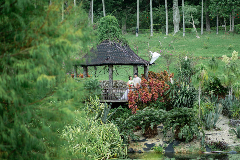 【ムービー&東南植物楽園ロケ】ドレス・タキシード1点｜データ150カット｜ビーチ撮影付き