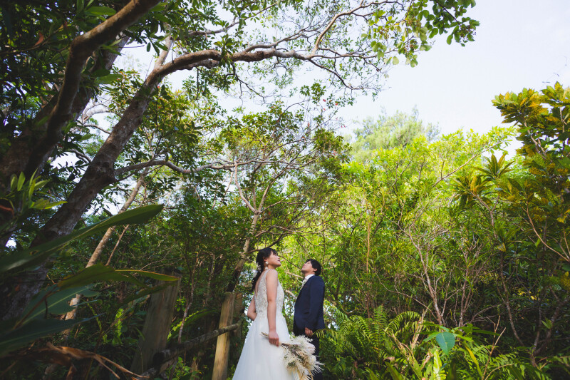 【ムービー&ビオスの丘ロケ】ドレス・タキシード1点｜データ150カット｜ビーチ撮影付き