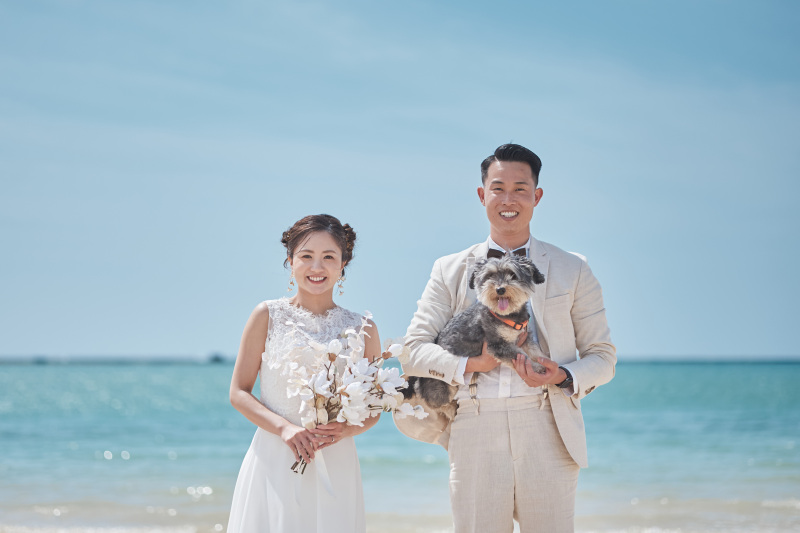 【ペットと一緒に】ドレス・タキシード1点｜データ100カット｜スタジオ撮影｜ビーチロケ付き