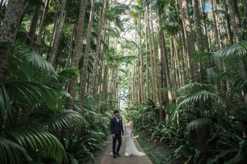 【東南植物楽園ロケ】ドレス・タキシード1点｜データ150カット｜ビーチフォト