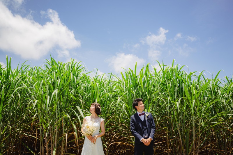 【ビーチロケ】ドレス・タキシード1点｜データ100カット｜必要なもの全部込み