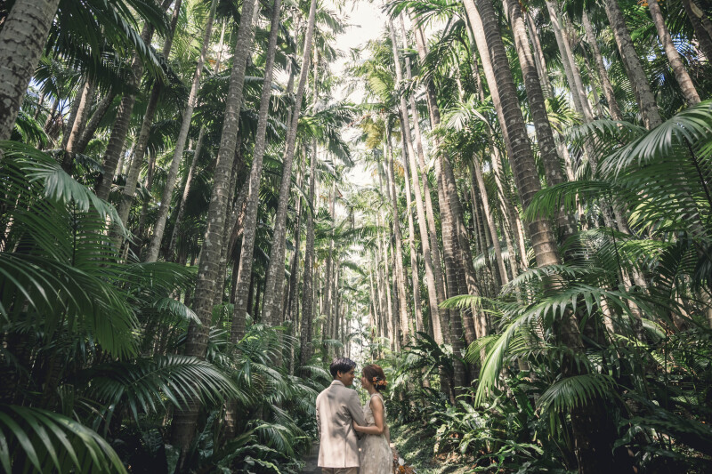 【ドローンフォト&ムービー】東南植物楽園ロケ｜データ150カット｜ドレス・タキシード1点｜ビーチフォト