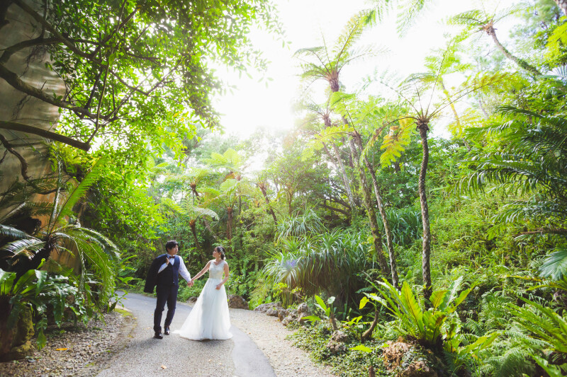 【ムービー&ビオスの丘ロケ】ドレス・タキシード1点｜データ150カット｜ビーチ撮影付き