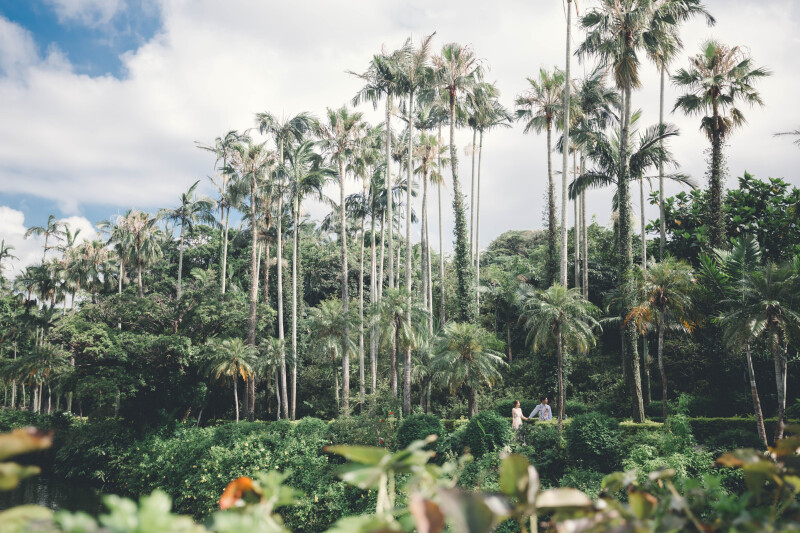 【ドローンフォト&ムービー】東南植物楽園ロケ｜データ150カット｜ドレス・タキシード1点｜ビーチフォト