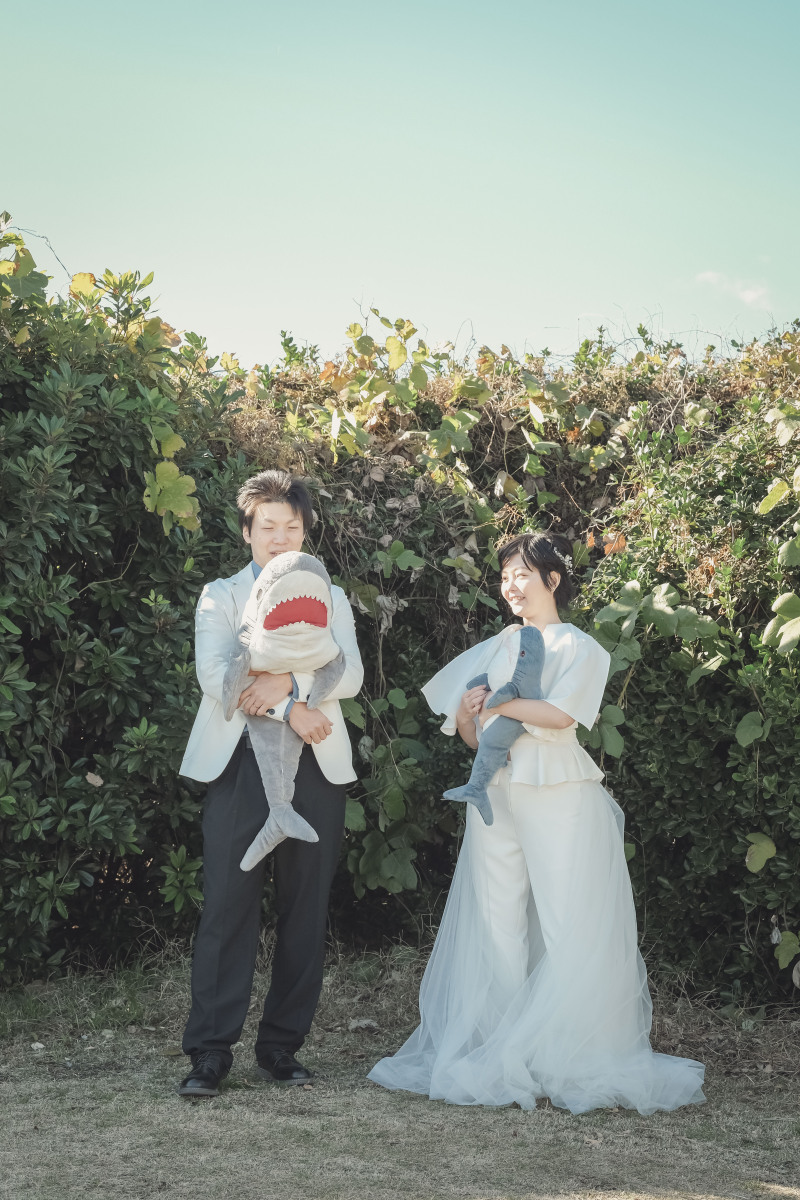 サメとグリーン