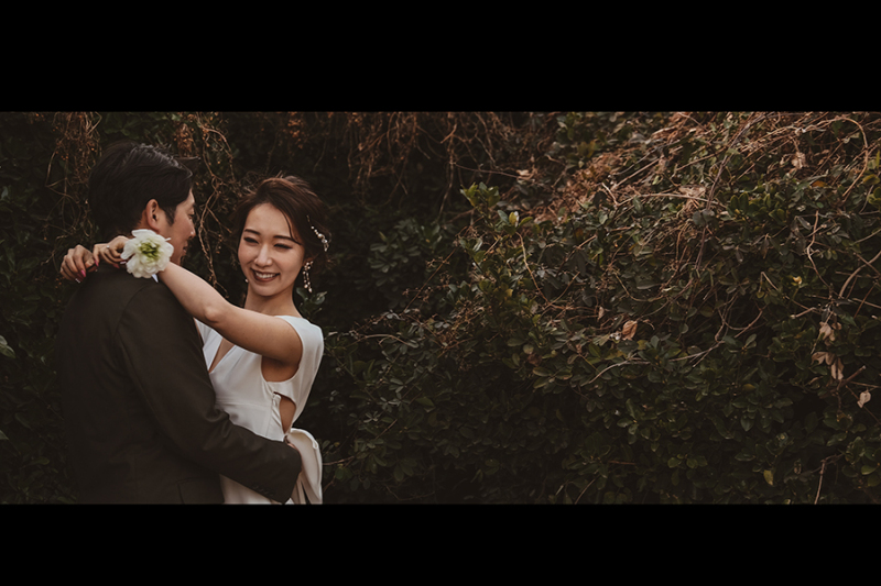 片瀬西浜海岸の森