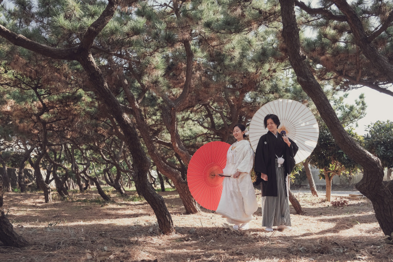 江ノ島の松林で