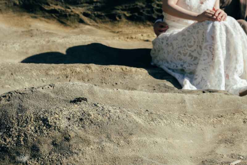 自然溢れるロケーションスポット