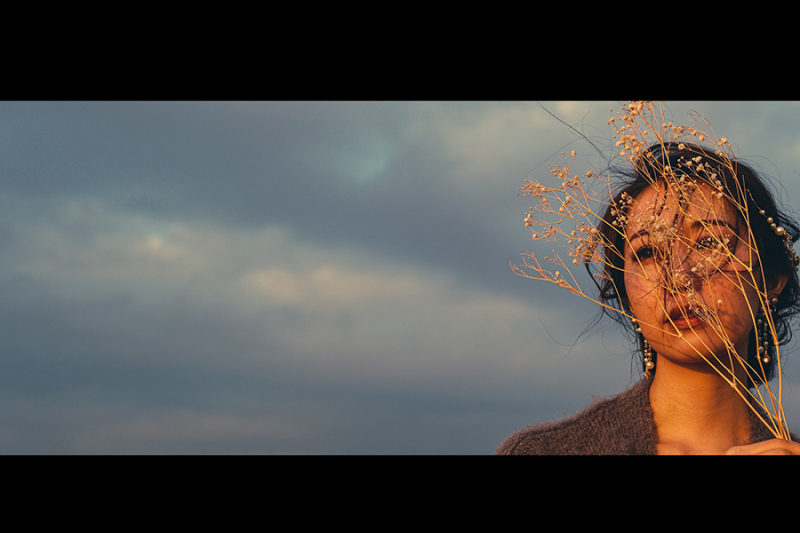 夕陽とカスミソウ