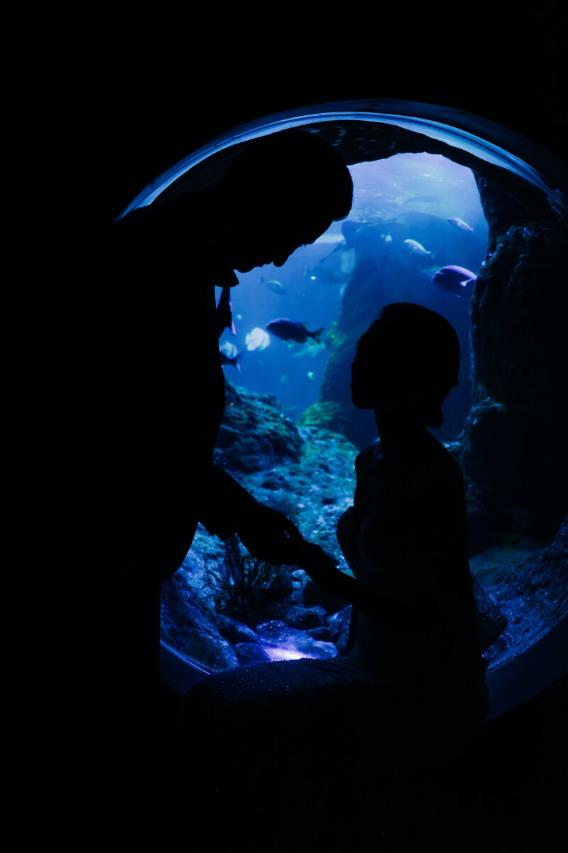 シルエットでお洒落に