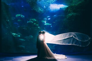 二人の特別な水族館フォト