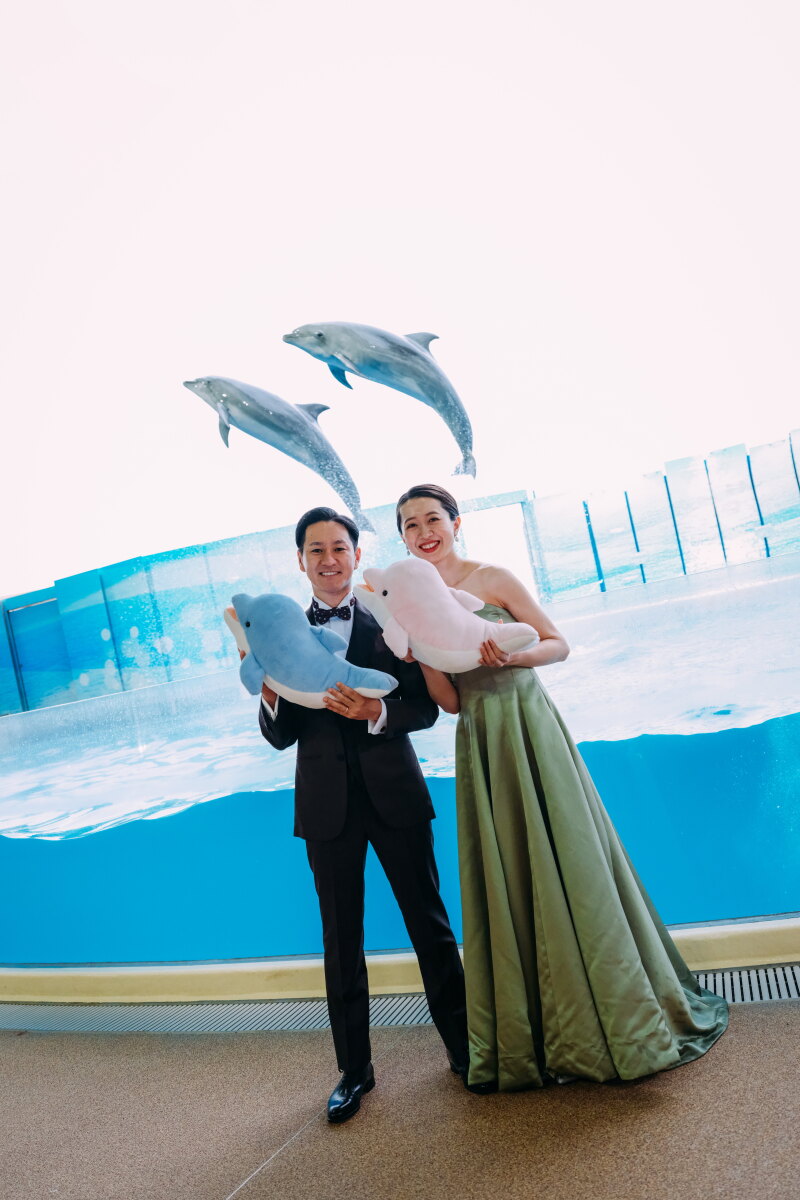 イルカと一緒に