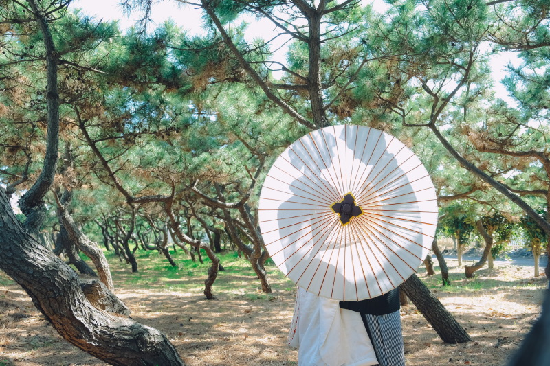 とても美しいシルエット