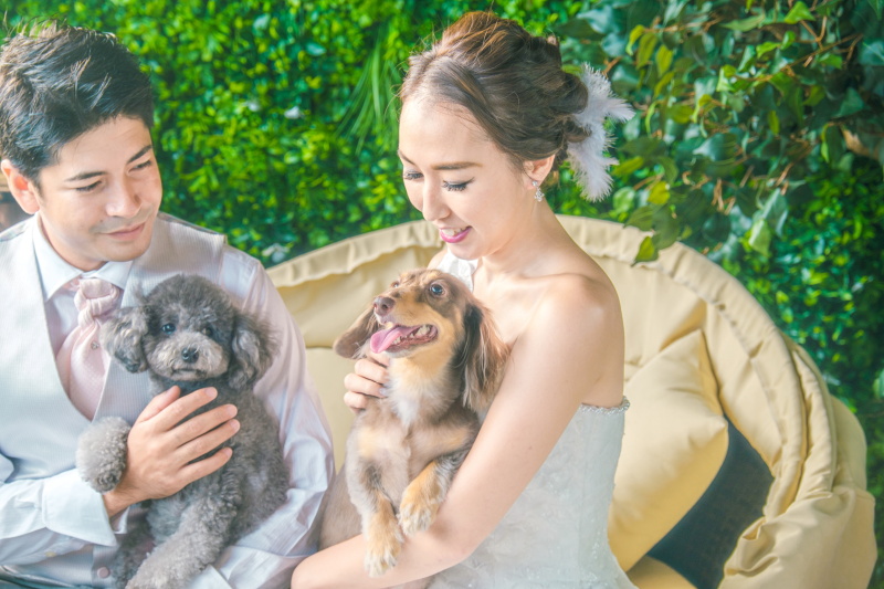 ワンちゃんたちも一緒に!