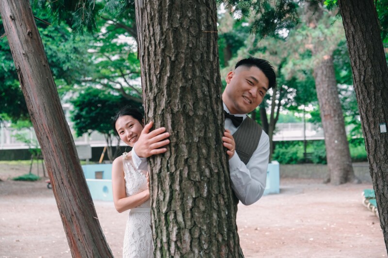 木からひょっこり