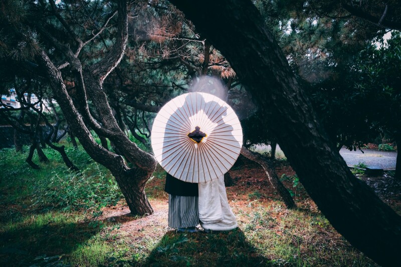 松林でシルエットフォト