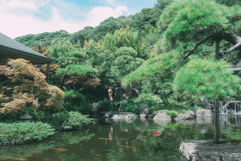 壮大な庭園フォトを