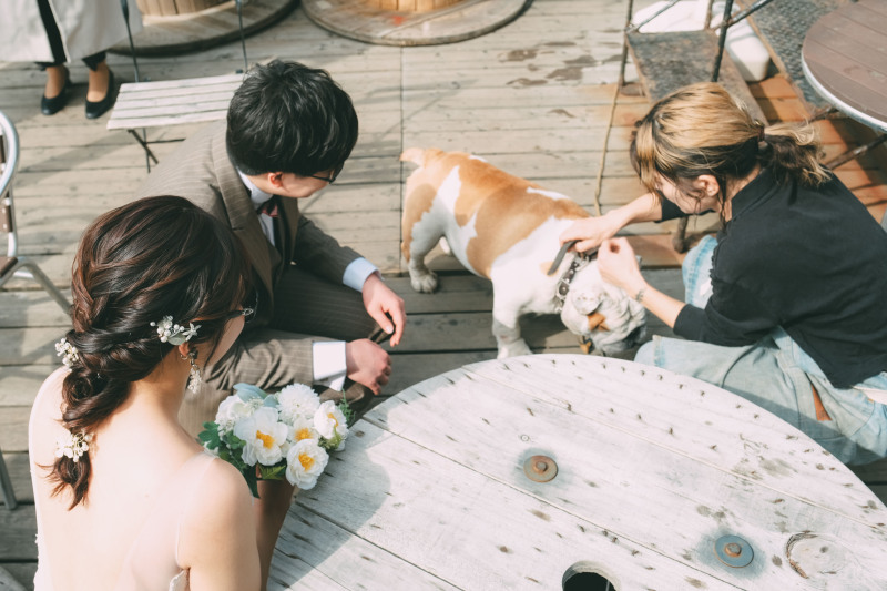 気さくなわんこ