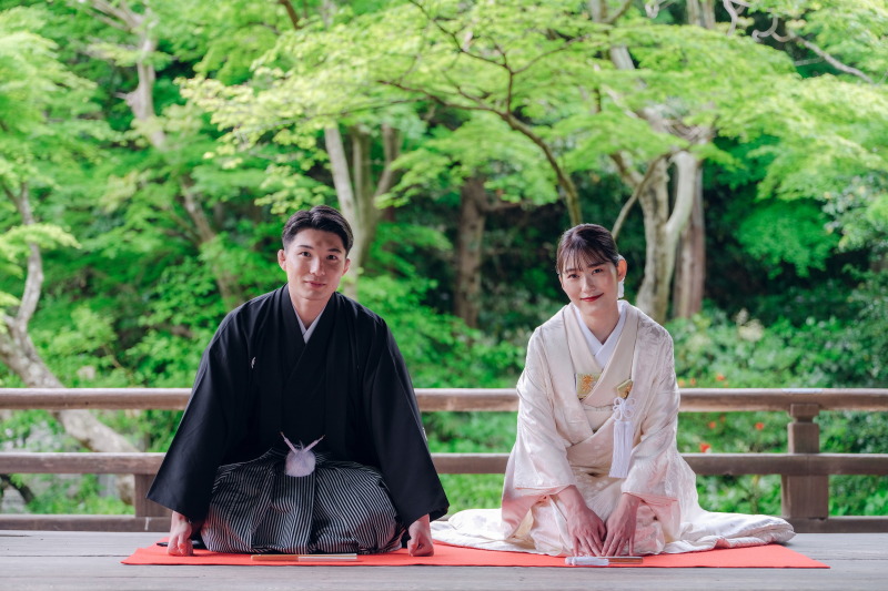 新年のご挨拶にどうですか?