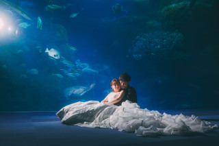 幻想的な水族館で、特別なウェディングフォトを