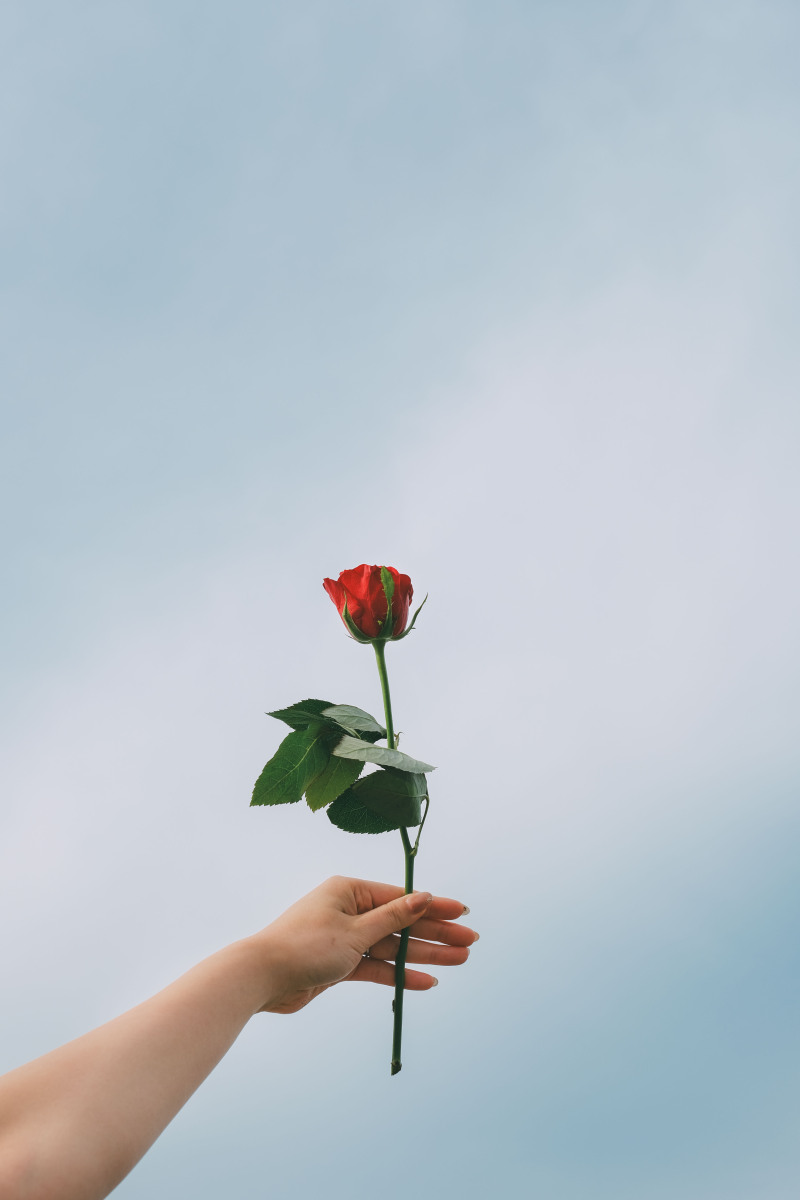 イメージショット