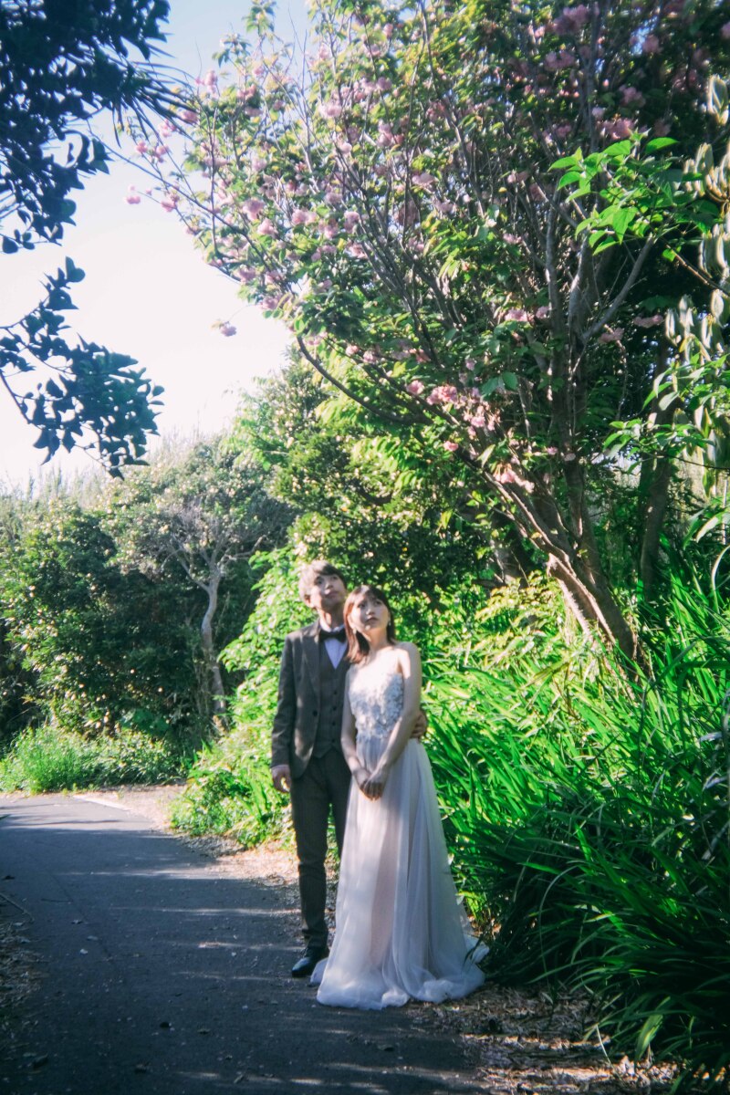 大自然の緑の中で