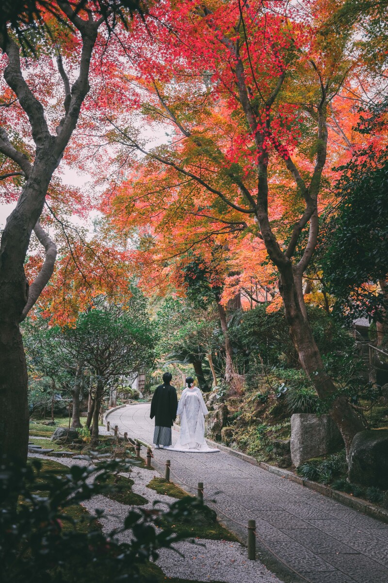 もみじを浴びる