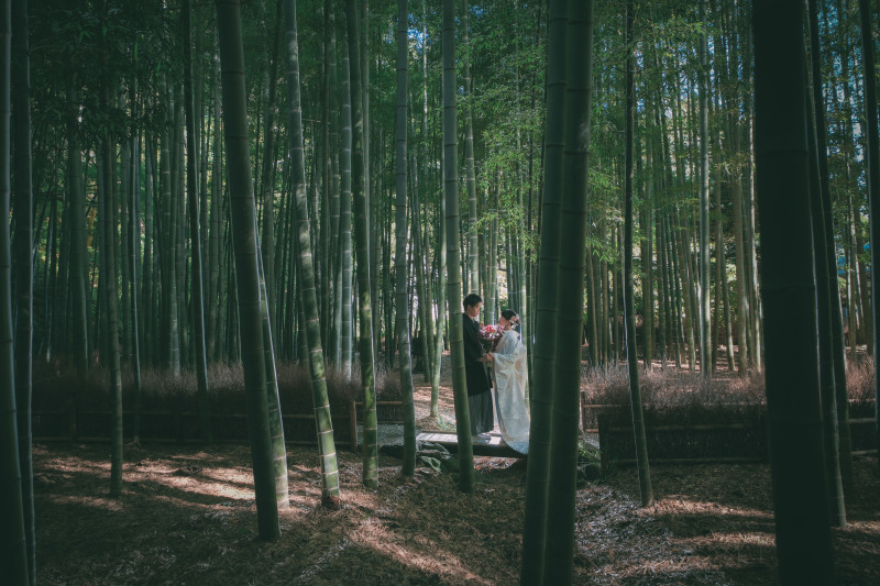 竹林に包まれる