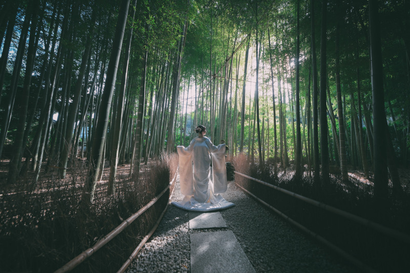 スポットライト