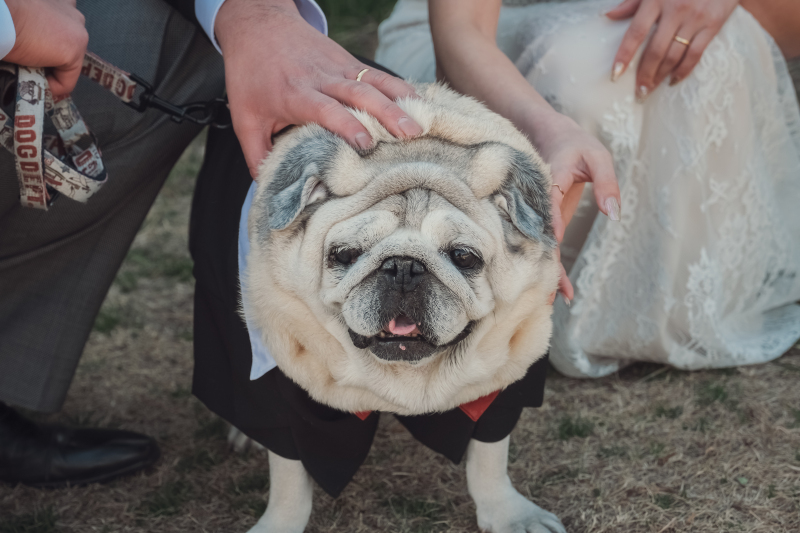 いつもとは違う景色で