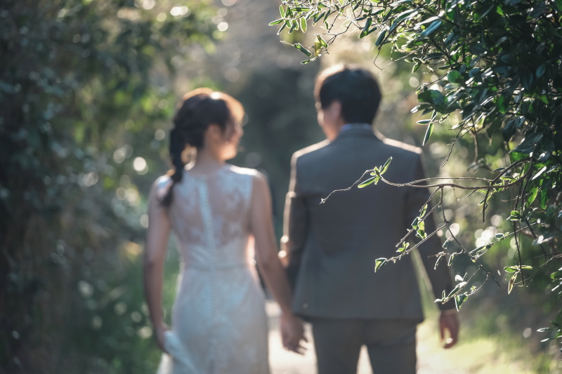 木漏れ日と草木