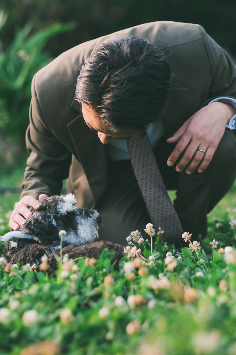 いつものように