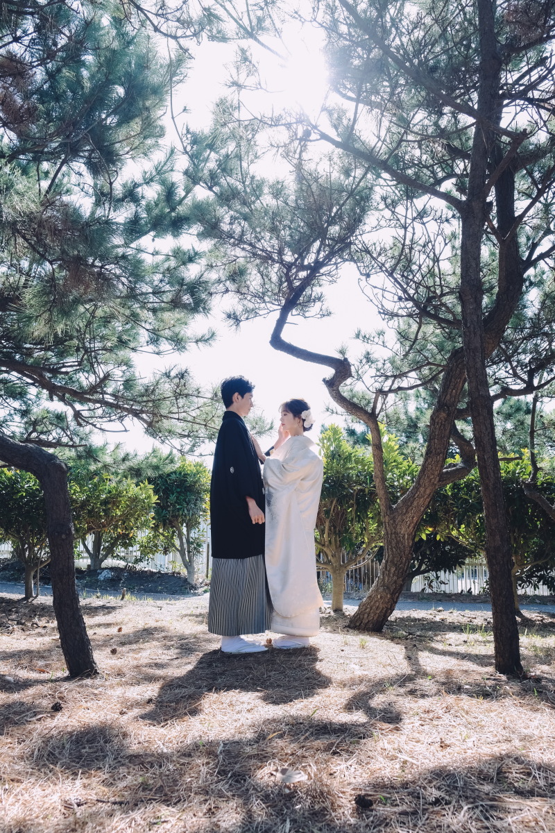 松の木と私たち