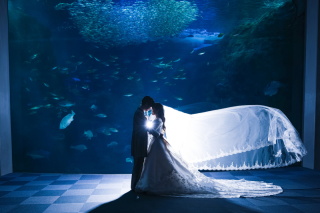 夢の新江ノ島水族館で