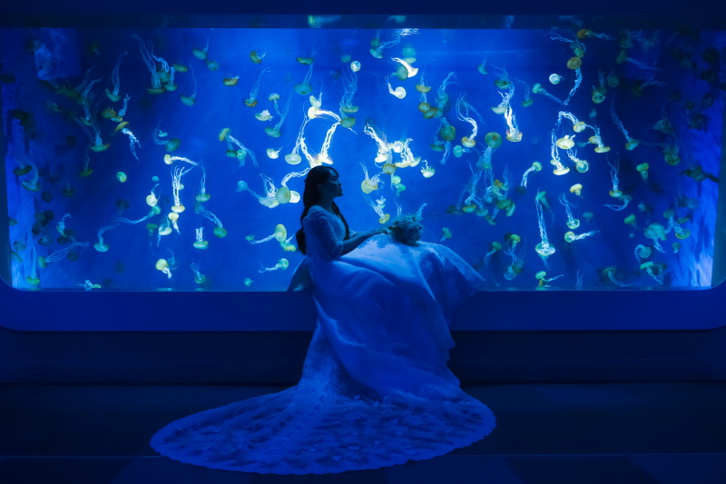 流れに身をまかせ