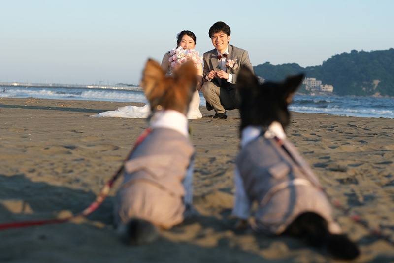 Jheart 江ノ島(ジェイハート エノシマ)_ペットと一緒に撮影できる