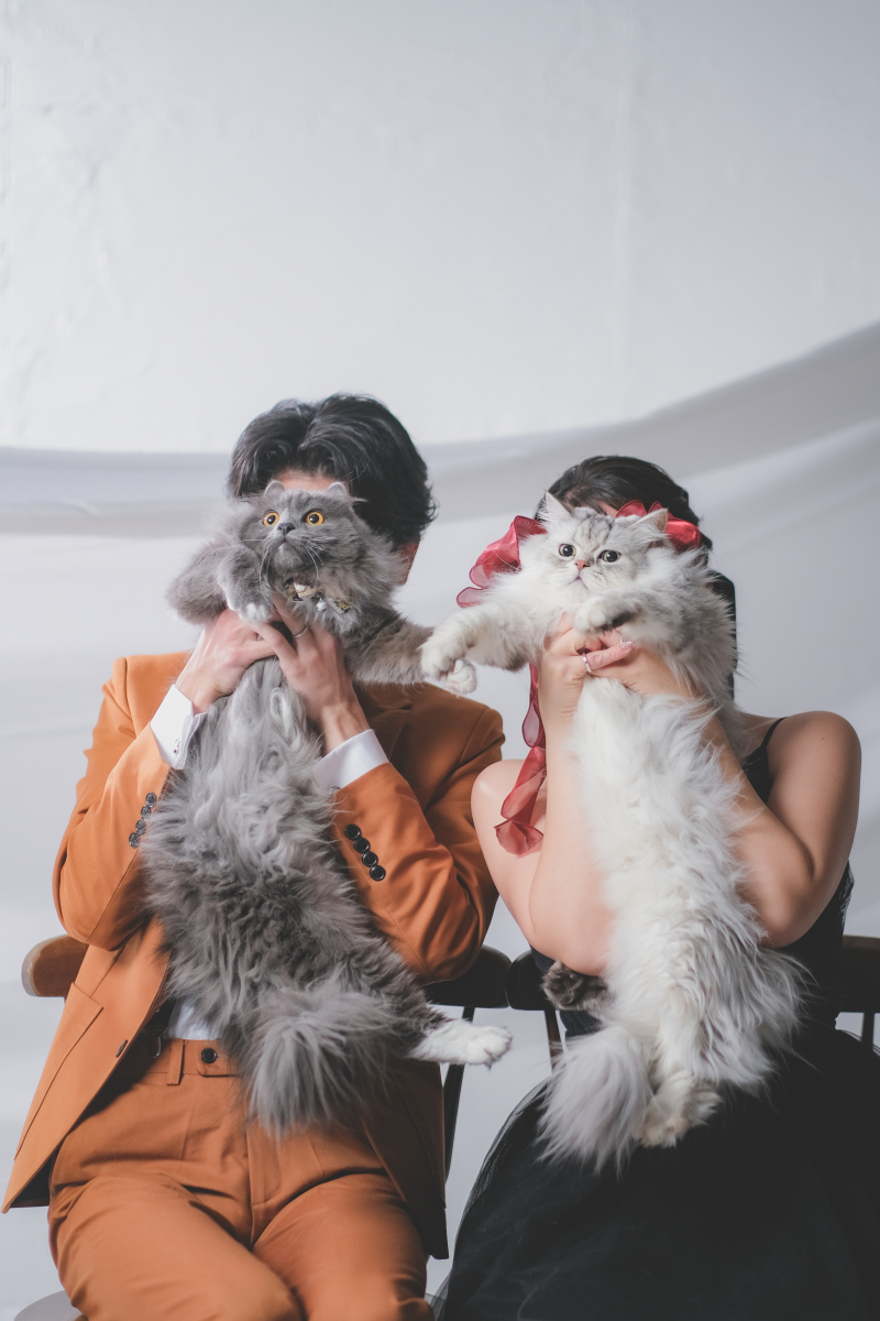 Jheart 江ノ島(ジェイハート エノシマ)_ペットと一緒に撮影できる